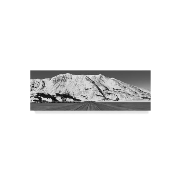 Trademark Fine Art Brenda Petrella Photography Llc 'Road To Destruction Bay' Canvas Art, 8x24 - ALI40340-C824GG