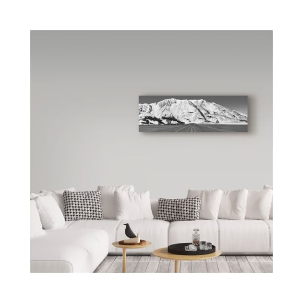Trademark Fine Art Brenda Petrella Photography Llc 'Road To Destruction Bay' Canvas Art, 8x24 - ALI40340-C824GG