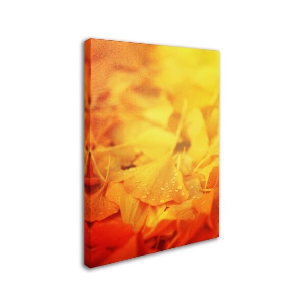 Trademark Fine Art Philippe Sainte-Laudy 'Thinking Bubble' Canvas Art, 12x19 - PSL0214-C1219GG