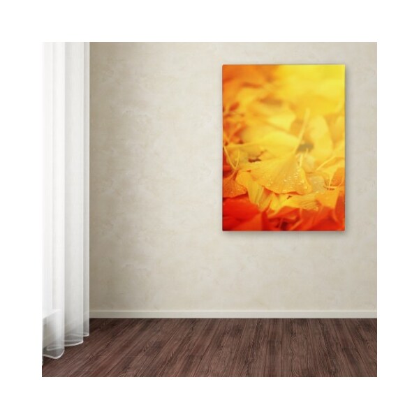 Trademark Fine Art Philippe Sainte-Laudy 'Thinking Bubble' Canvas Art, 12x19 - PSL0214-C1219GG