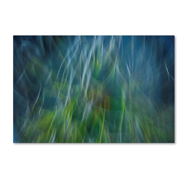 Trademark Fine Art Paulo Abrantes 'Electro Shock Blues' Canvas Art, 12x19 - 1X00242-C1219GG