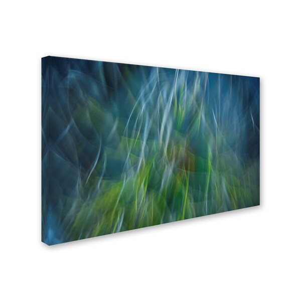 Trademark Fine Art Paulo Abrantes 'Electro Shock Blues' Canvas Art, 12x19 - 1X00242-C1219GG