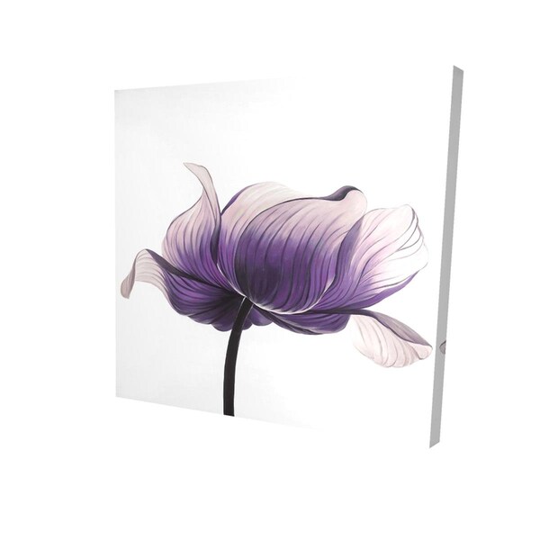 Fondo 12 x 12 in. Purple Anemone Flower-Print on Canvas - FO3336238