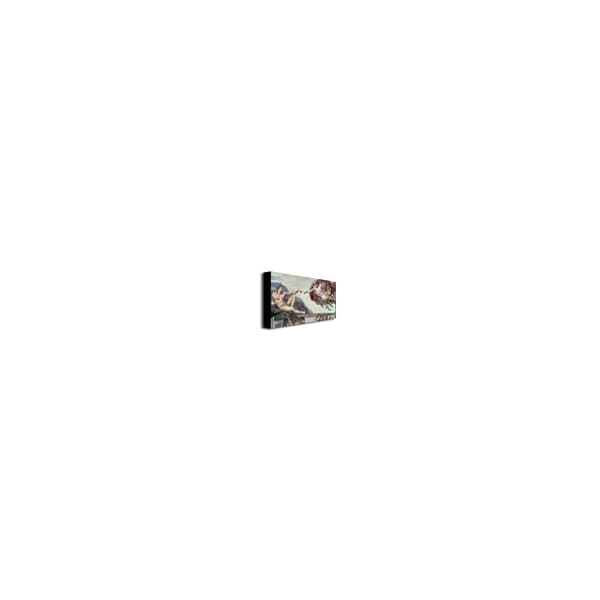 Trademark Fine Art Michelangelo 'Sistine Chapel Ceiling' Canvas Art, 18x32 - BL0672-C1832GG