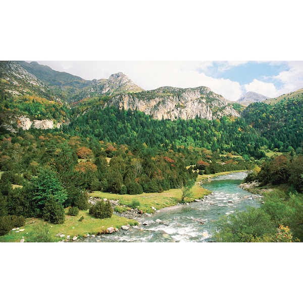 Biggies Scenes Window Well Scenes-Canyon, 100 in wide x 60 in high - BG-WW-CYN-100