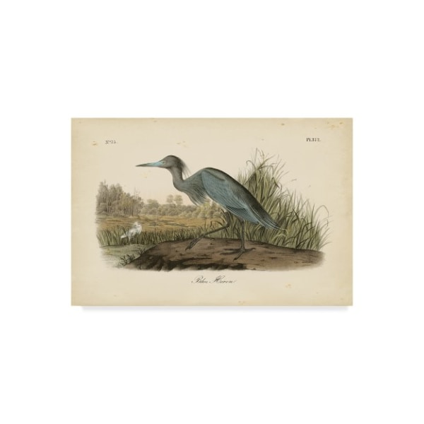 Trademark Fine Art John James Audubon 'Audubons Blue Heron' Canvas Art, 16x24 - WAG02444-C1624GG