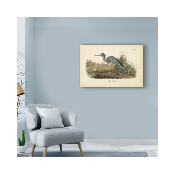Trademark Fine Art John James Audubon 'Audubons Blue Heron' Canvas Art, 16x24 - WAG02444-C1624GG