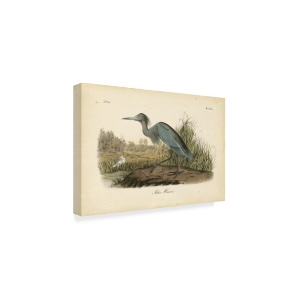 Trademark Fine Art John James Audubon 'Audubons Blue Heron' Canvas Art, 16x24 - WAG02444-C1624GG