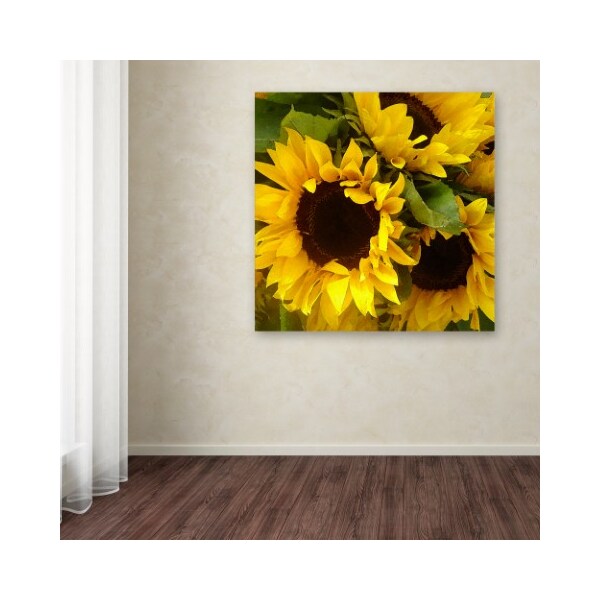 Trademark Fine Art Amy Vangsgard 'Sunflowers' Canvas Art, 24x24 - AV0033-C2424GG
