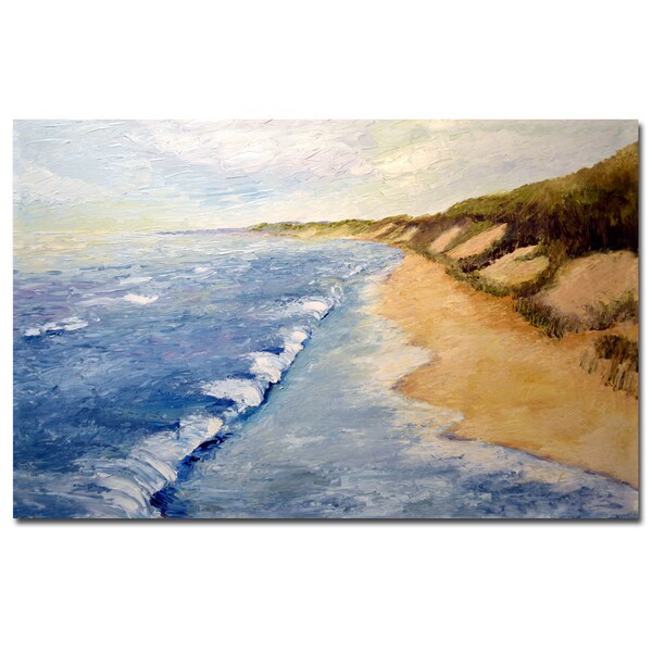 Trademark Fine Art Michelle Calkins 'Lake Michigan Whitecaps' Canvas Art, 35x47 - MC067-C3547GG