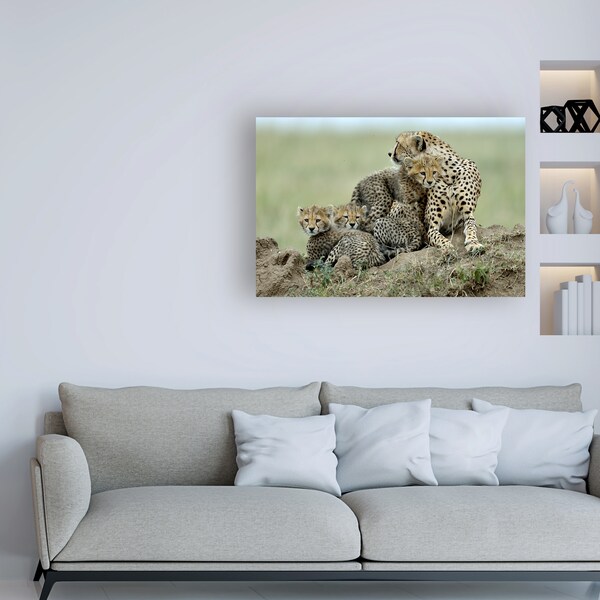 Trademark Fine Art Giuseppe Damico 'Cheetah' Canvas Art, 12x19 - 1X09920-C1219GG