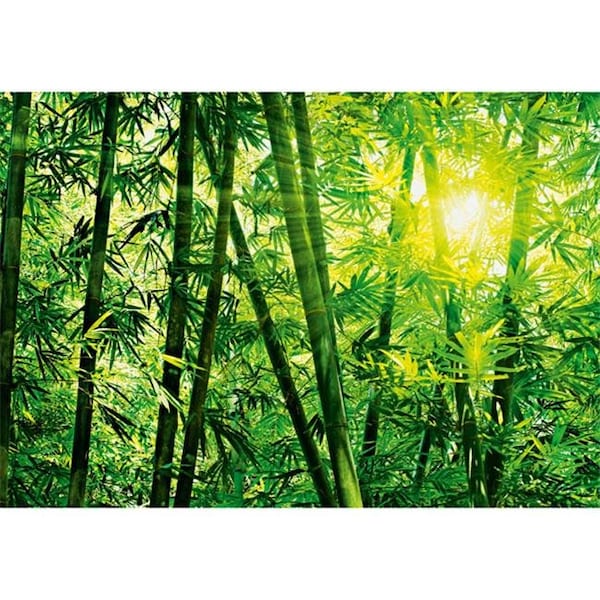 Brewster Home Fashions Brewster Home Fashions DM123 Bamboo Forest Wall Mural - 100 in. - DM123