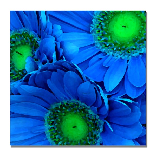 Trademark Fine Art Amy Vangsgard 'Blue Gerber Daisies' Canvas Art, 18x18 - AV0054-C1818GG