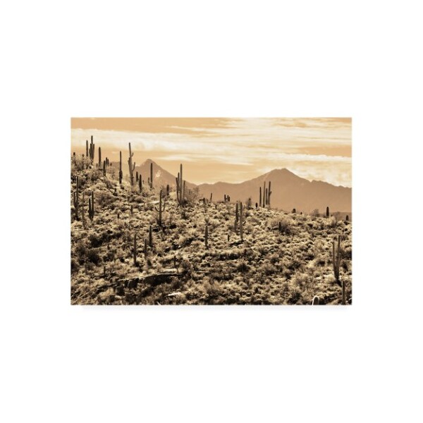 Trademark Fine Art Mitch Catanzaro 'Arizona Mountains' Canvas Art, 12x19 - MZ00441-C1219GG