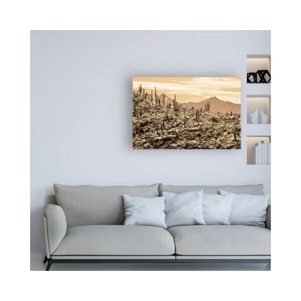 Trademark Fine Art Mitch Catanzaro 'Arizona Mountains' Canvas Art, 12x19 - MZ00441-C1219GG
