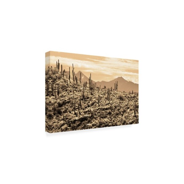 Trademark Fine Art Mitch Catanzaro 'Arizona Mountains' Canvas Art, 12x19 - MZ00441-C1219GG