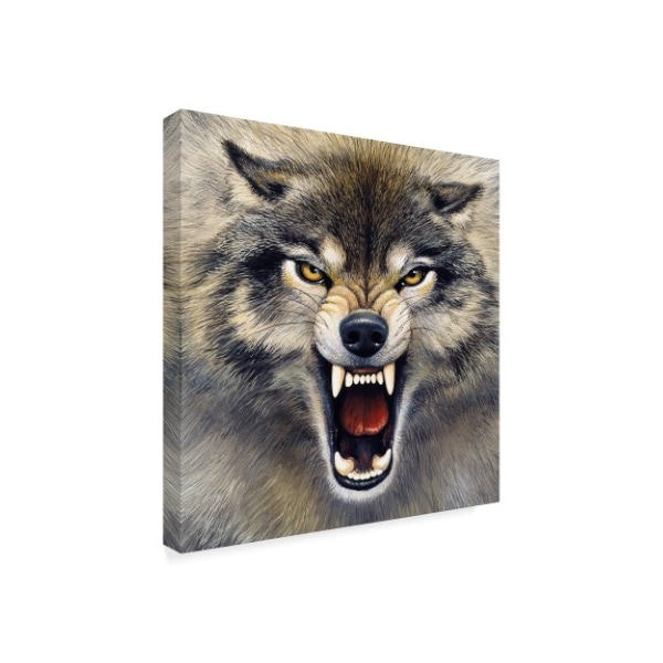 Trademark Fine Art Harro Maass 'Wolf Roaring' Canvas Art, 35x35 - ALI35667-C3535GG