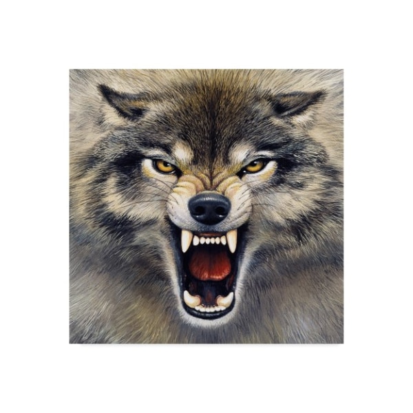 Trademark Fine Art Harro Maass 'Wolf Roaring' Canvas Art, 35x35 - ALI35667-C3535GG