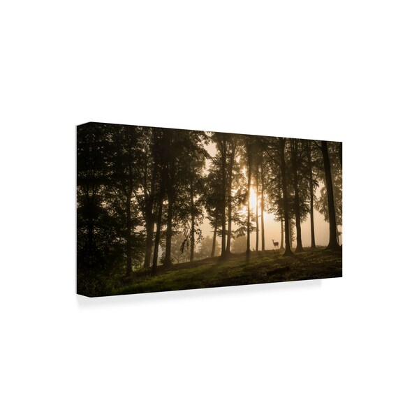 Trademark Fine Art Leif Londal 'Deer In The Morning Mist' Canvas Art, 12x24 - 1X07565-C1224GG