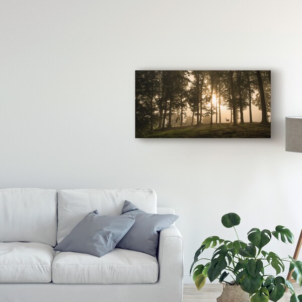 Trademark Fine Art Leif Londal 'Deer In The Morning Mist' Canvas Art, 12x24 - 1X07565-C1224GG