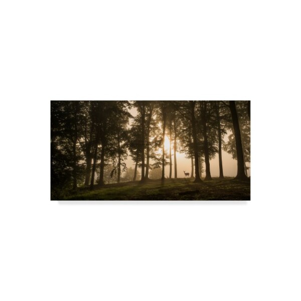 Trademark Fine Art Leif Londal 'Deer In The Morning Mist' Canvas Art, 12x24 - 1X07565-C1224GG