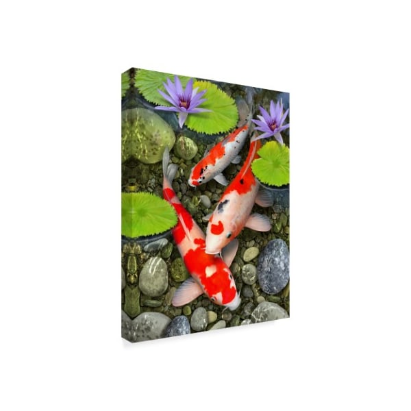 Trademark Fine Art Howard Robinson 'Koi Under Lily Pads' Canvas Art, 14x19 - ALI24114-C1419GG