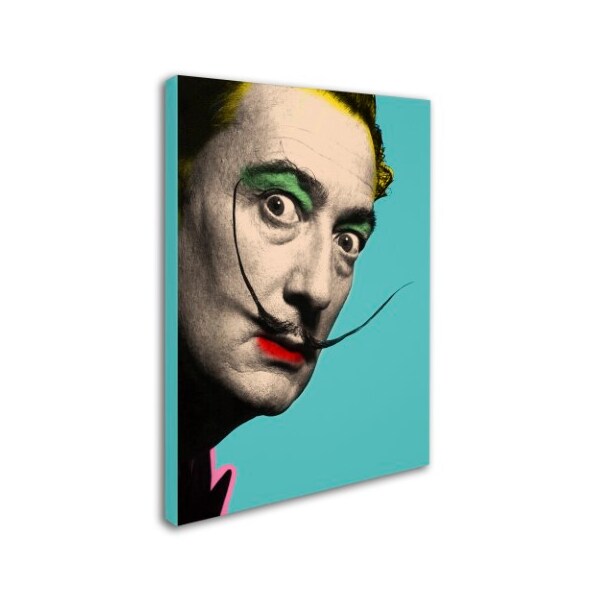 Trademark Fine Art Mark Ashkenazi 'Salvador Dali' Canvas Art, 35x47 - ALI1005-C3547GG