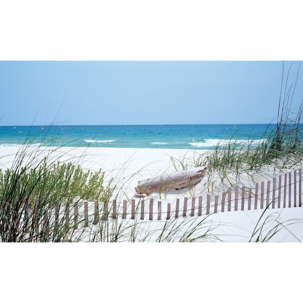 Biggies Scenes Window Well Scenes-Carolina Coast, 80 in wide x 40 in high - BG-WW-CCT-80