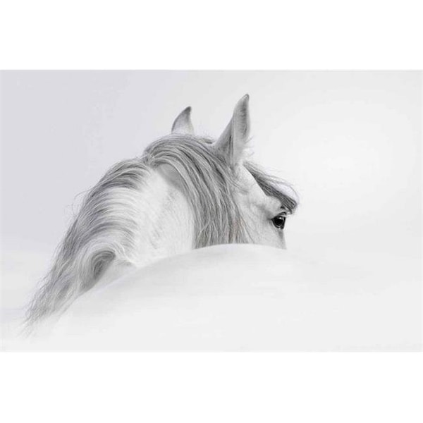 Empire Art Empire Art Vetro De Arte - Blanco - TMP-60801-4832