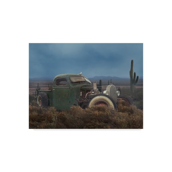 Trademark Fine Art Lori Hutchison 'Ford' Canvas Art, 18x24 - ALI42680-C1824GG