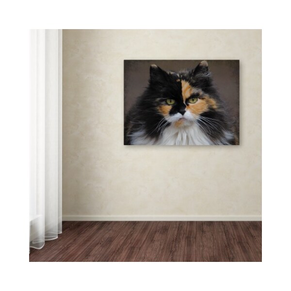 Trademark Fine Art Jai Johnson 'Calico Cat Portrait' Canvas Art, 35x47 - ALI13830-C3547GG