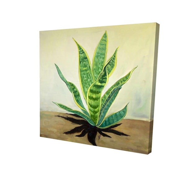 Fondo 16 x 16 in. Succulent Plant Mother-In-Laws Tongue-Print on Canvas - FO2790324