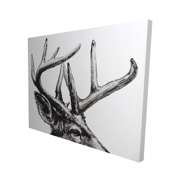 Begin Home Decor 16 x 20 in. Roe Deer Plume-Print on Canvas - 2080-1620-AN474