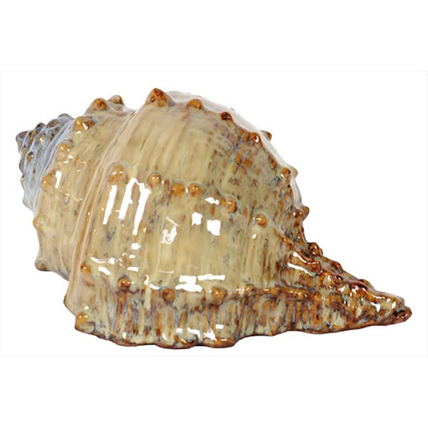 Urban Trends Collection 4.5 in. H Ceramic Sea Shell Brown Tone - 62315
