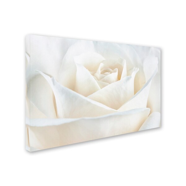 Trademark Fine Art Cora Niele 'Pure White Rose' Canvas Art, 12x19 - ALI1777-C1219GG