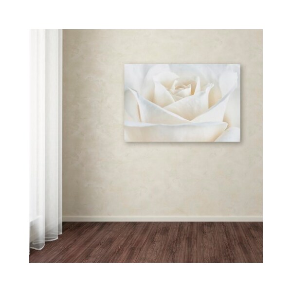 Trademark Fine Art Cora Niele 'Pure White Rose' Canvas Art, 12x19 - ALI1777-C1219GG