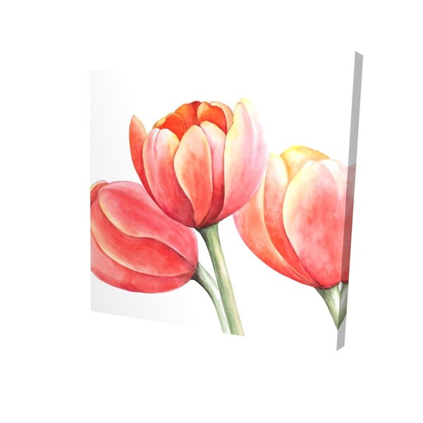 Fondo 32 x 32 in. Three Tulips Closeup-Print on Canvas - FO2788341