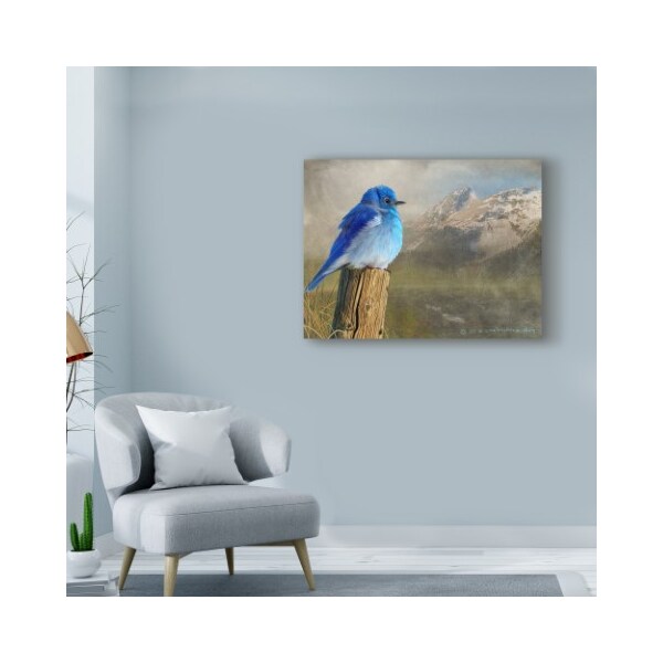 Trademark Fine Art Chris Vest 'Mountain Blue Birds' Canvas Art, 14x19 - WAG03552-C1419GG
