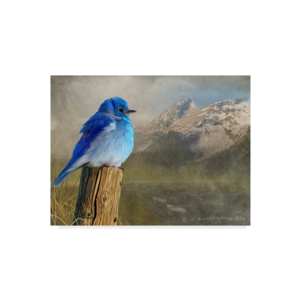 Trademark Fine Art Chris Vest 'Mountain Blue Birds' Canvas Art, 14x19 - WAG03552-C1419GG