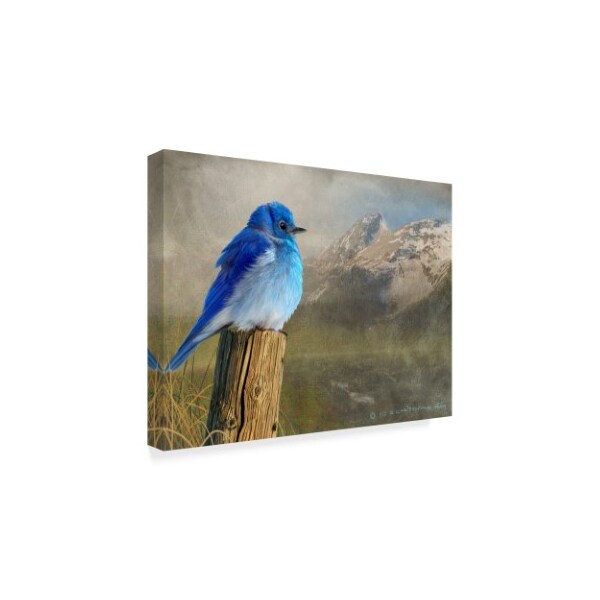 Trademark Fine Art Chris Vest 'Mountain Blue Birds' Canvas Art, 14x19 - WAG03552-C1419GG