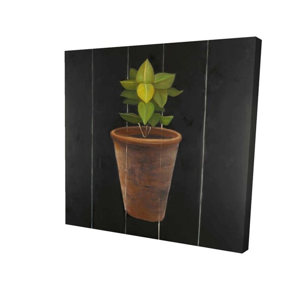 Fondo 16 x 16 in. Plant of Bay Leaves-Print on Canvas - FO2786773
