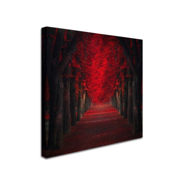 Trademark Fine Art Ildiko Neer 'Endless Passion' Canvas Art, 24x24 - 1X02789-C2424GG