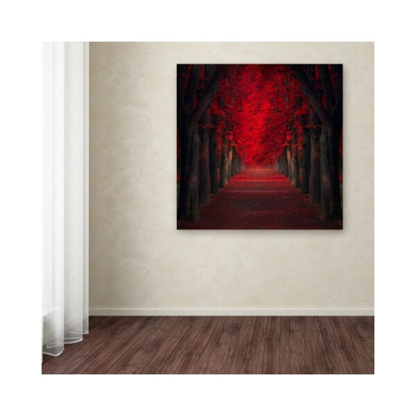 Trademark Fine Art Ildiko Neer 'Endless Passion' Canvas Art, 24x24 - 1X02789-C2424GG