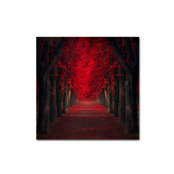 Trademark Fine Art Ildiko Neer 'Endless Passion' Canvas Art, 24x24 - 1X02789-C2424GG