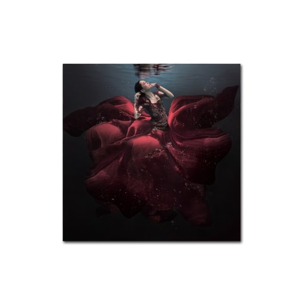 Trademark Fine Art Martha Suherman 'The Lady In Red' Canvas Art, 35x35 - 1X03369-C3535GG