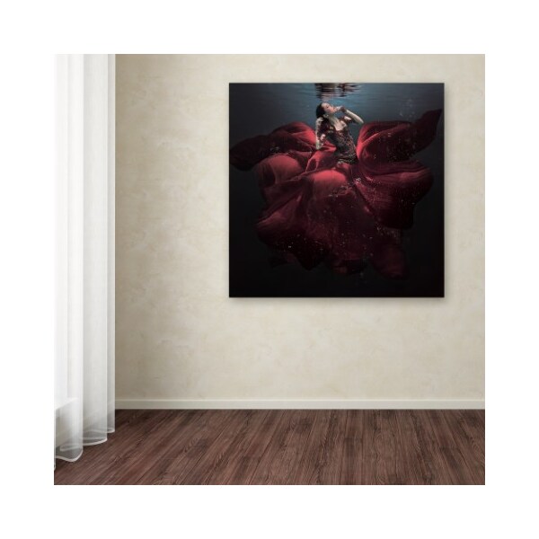 Trademark Fine Art Martha Suherman 'The Lady In Red' Canvas Art, 35x35 - 1X03369-C3535GG