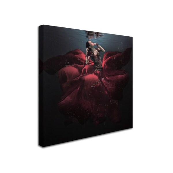 Trademark Fine Art Martha Suherman 'The Lady In Red' Canvas Art, 35x35 - 1X03369-C3535GG