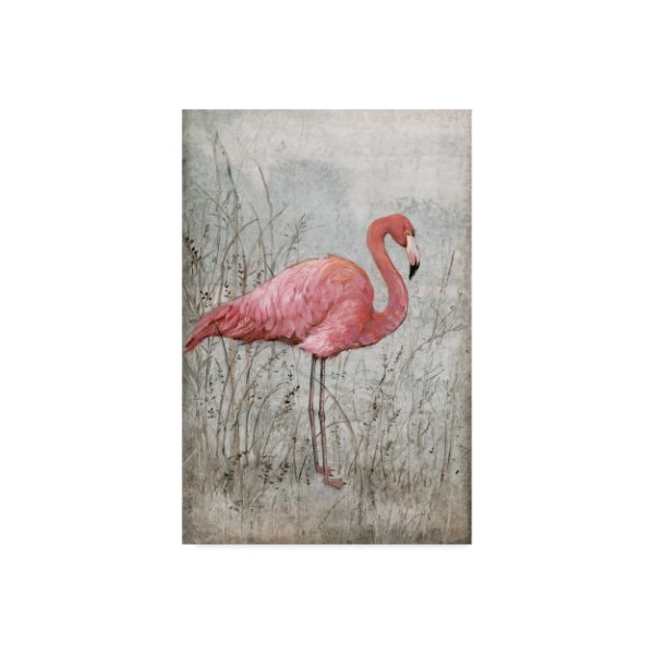 Trademark Fine Art Tim Otoole 'American Flamingo I' Canvas Art, 22x32 - WAG00732-C2232GG