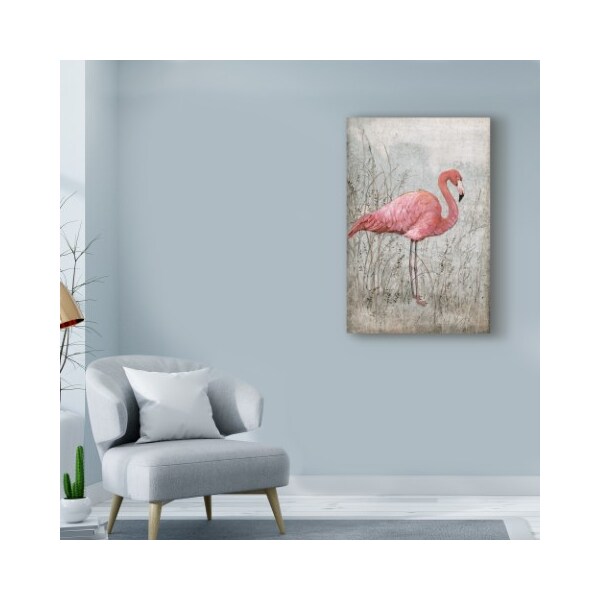 Trademark Fine Art Tim Otoole 'American Flamingo I' Canvas Art, 22x32 - WAG00732-C2232GG