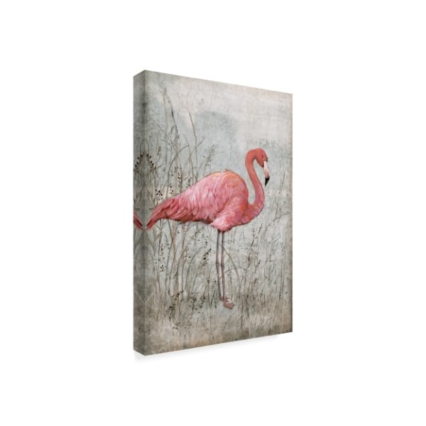 Trademark Fine Art Tim Otoole 'American Flamingo I' Canvas Art, 22x32 - WAG00732-C2232GG
